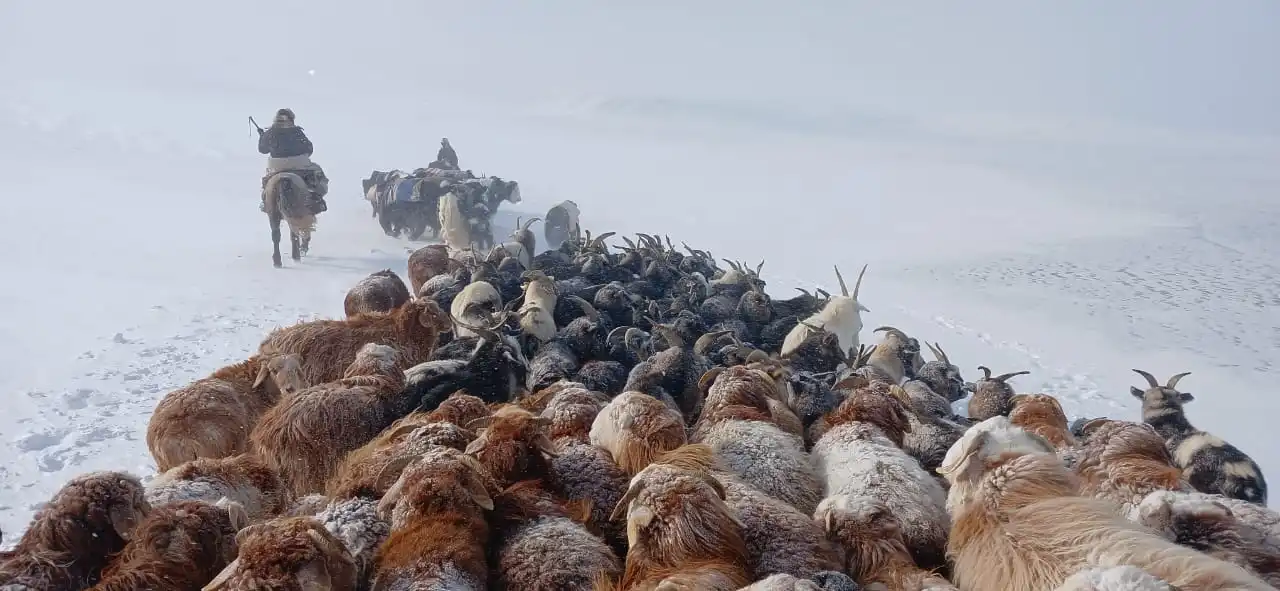 Winter Migration And Eagle Hunters 7 Days Tour
