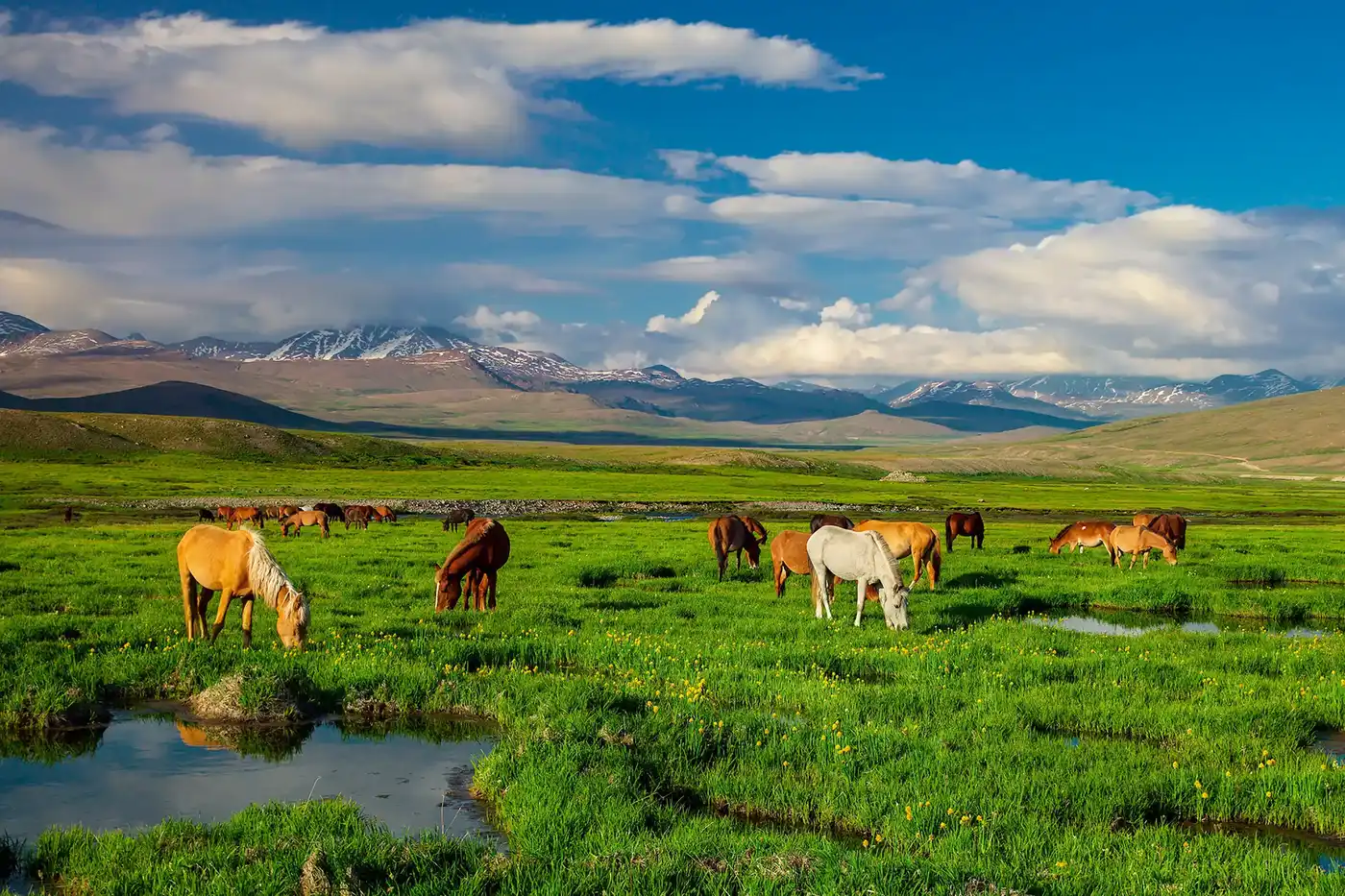 Fly Through Pakistan – 12 Days Of Wonders “Pakistan Cultural & Northern Wonders Journey”