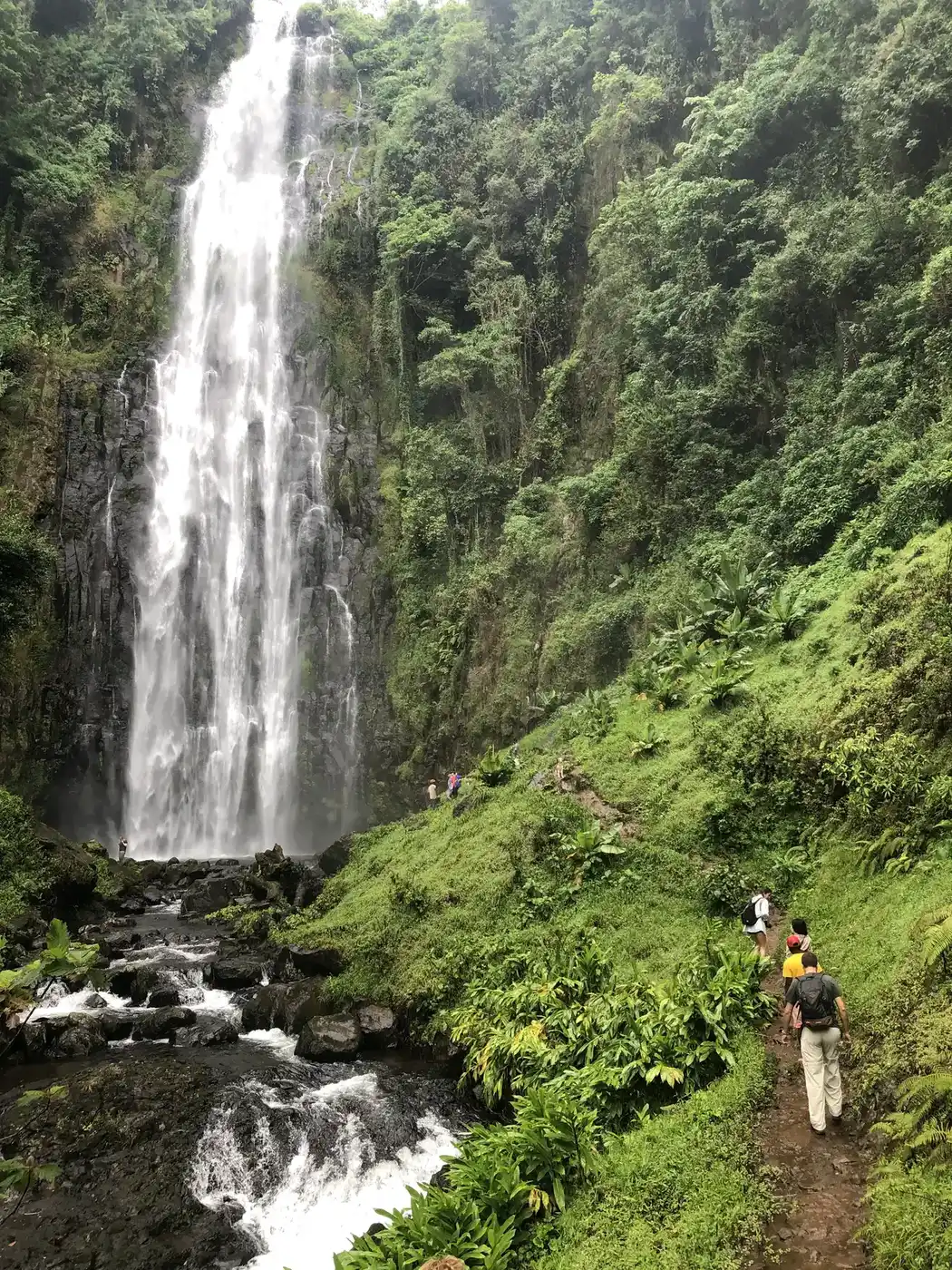 Day Tour To Materuni Waterfalls And Coffee Tour In Tanzania