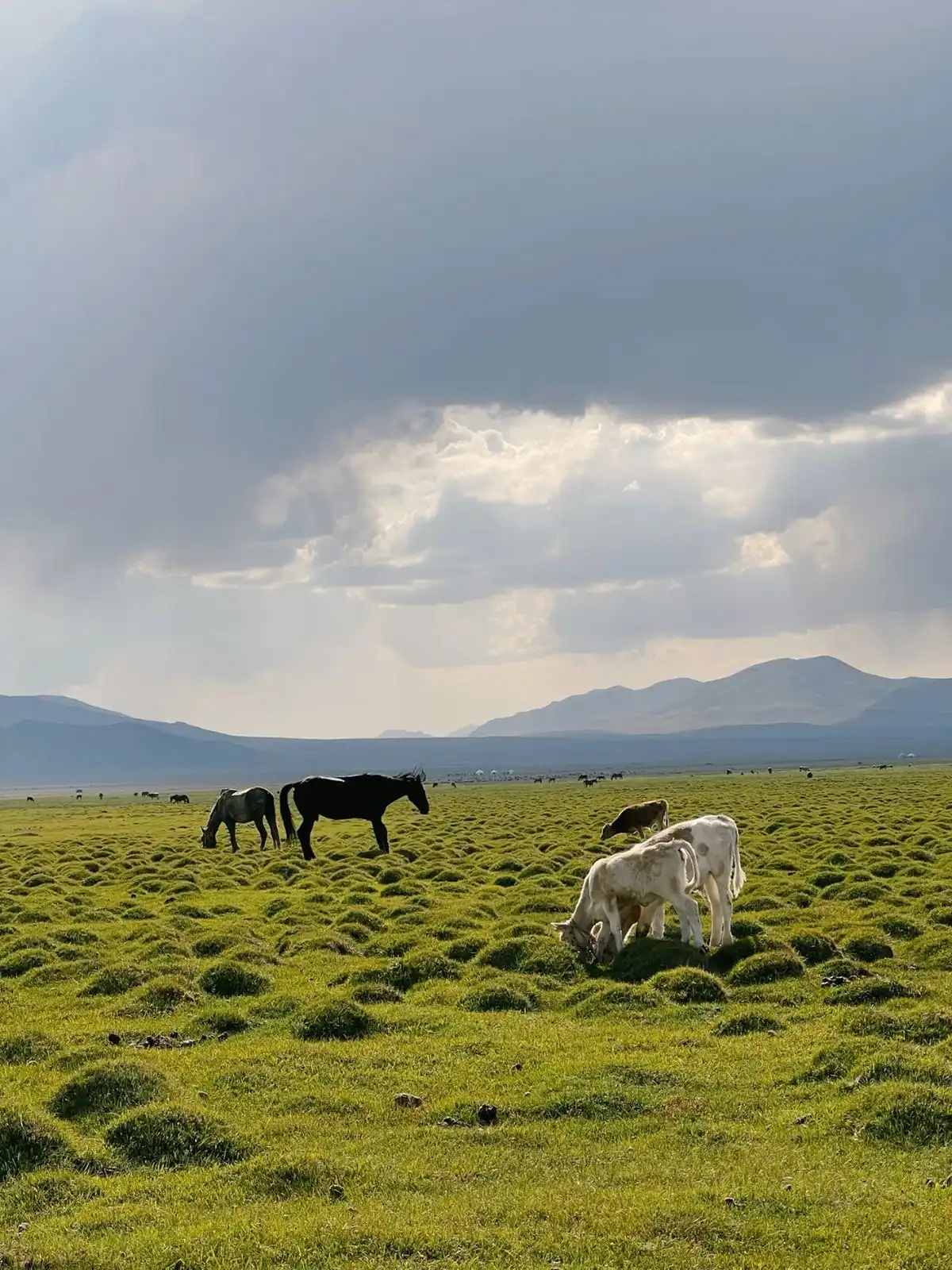Kyrgyzstan Adventure Tour: Mountains, Lakes & Nomadic Culture