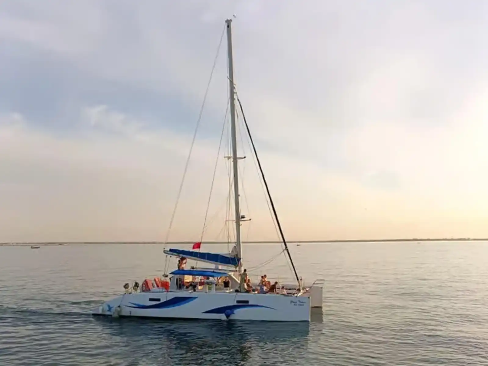 From Djerba: Dolphin Magic: 3-hour Catamaran Cruise – Swim, Sail & Smile
