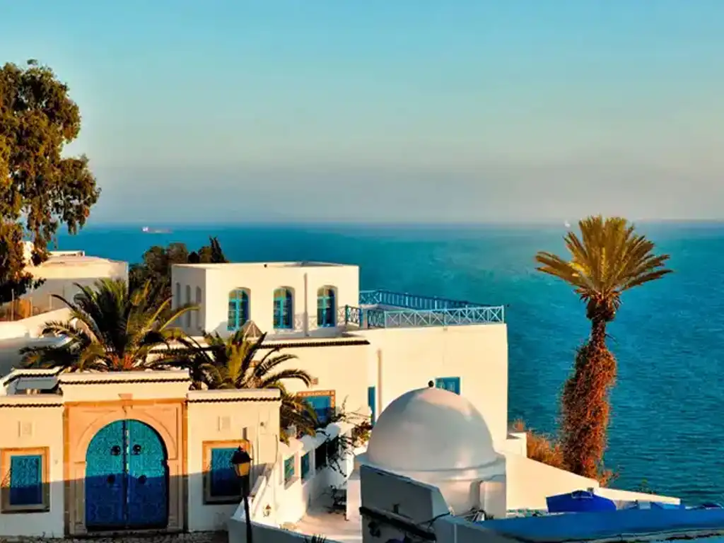 Tunis In One Day: Medina, Roman Ruins & Blue-and-white Village