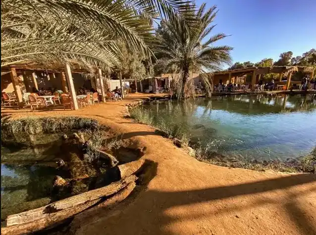 From Djerba: Full-day Desert Excursion To Ksar Ghilane Oasis – Hot Spring Bath & Camel Ride