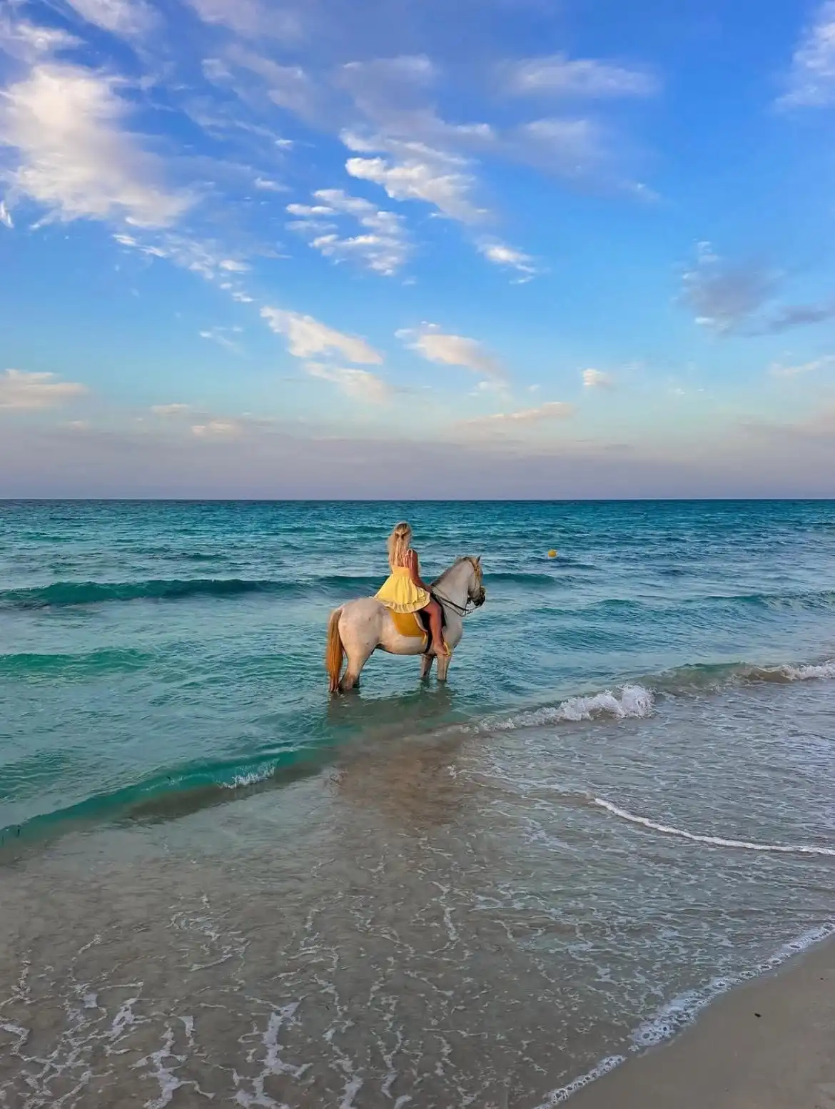 From Djerba: 1.5-hour Horse Ride – Blue Lagoon, Salt Lake, Olive Groves & Sunset