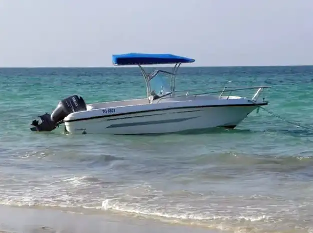 From Djerba: 3-hour Fishing Adventure – Sea Bream, Bass, Grouper & Beach Grill Option