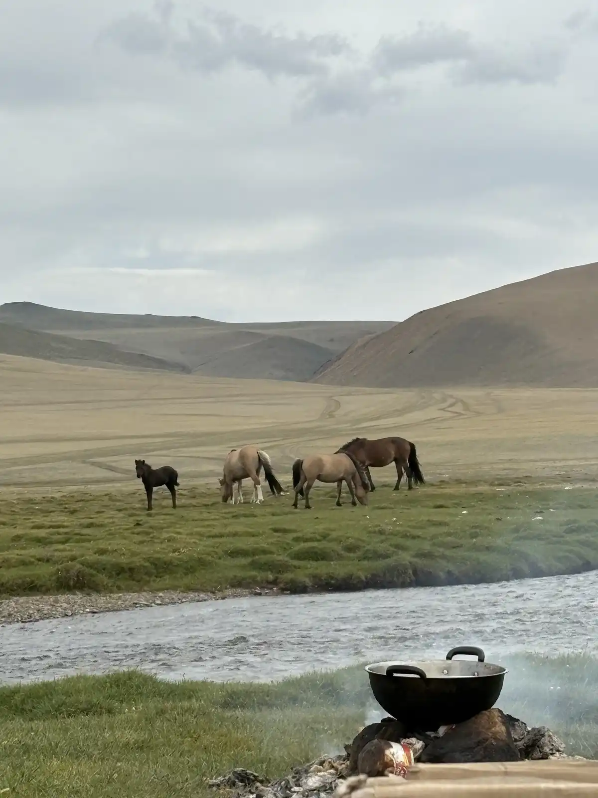 3-day Altai Tavan Bogd & Eagle Hunter Adventure