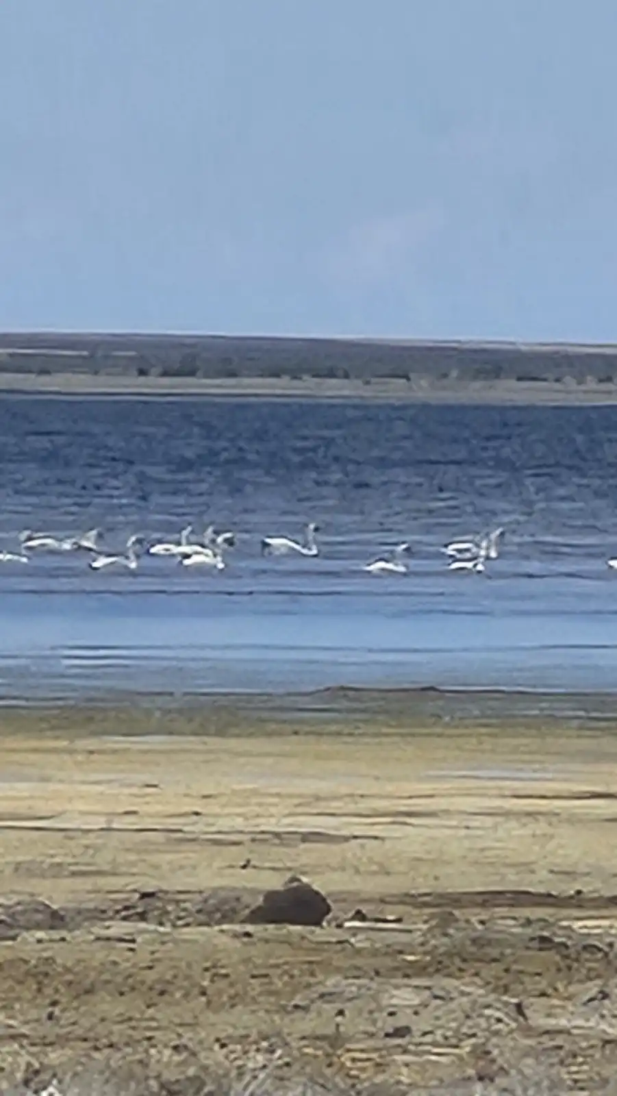 Trip To Aral Sea, And Transfer To Kyzylorda