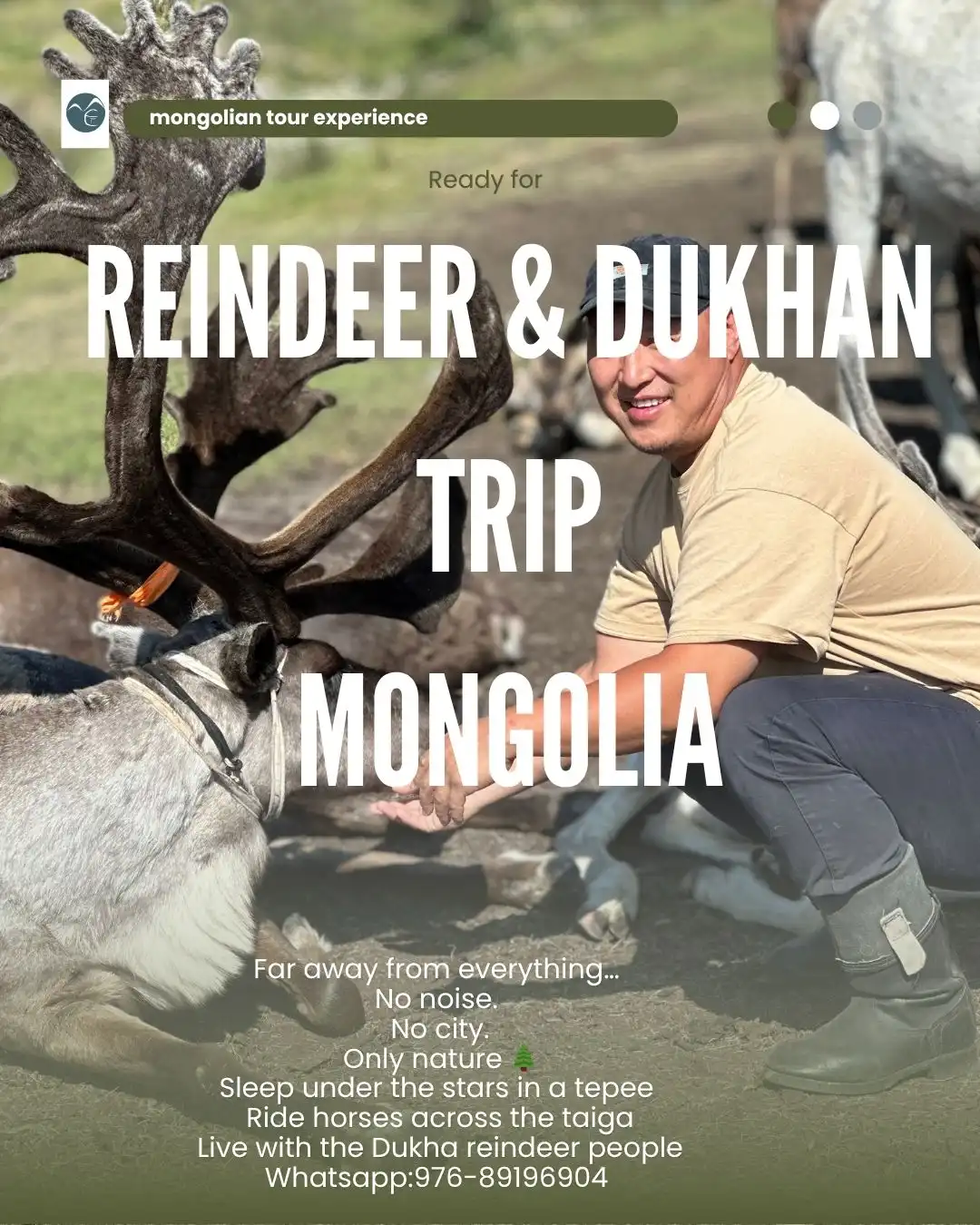Reindeer, Tepee, Nomadic Family, Horse Riding