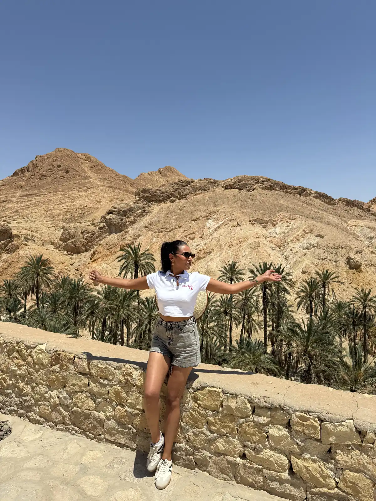 Discover Southern Tunisia: Tozeur, Desert Oases & Berber Villages