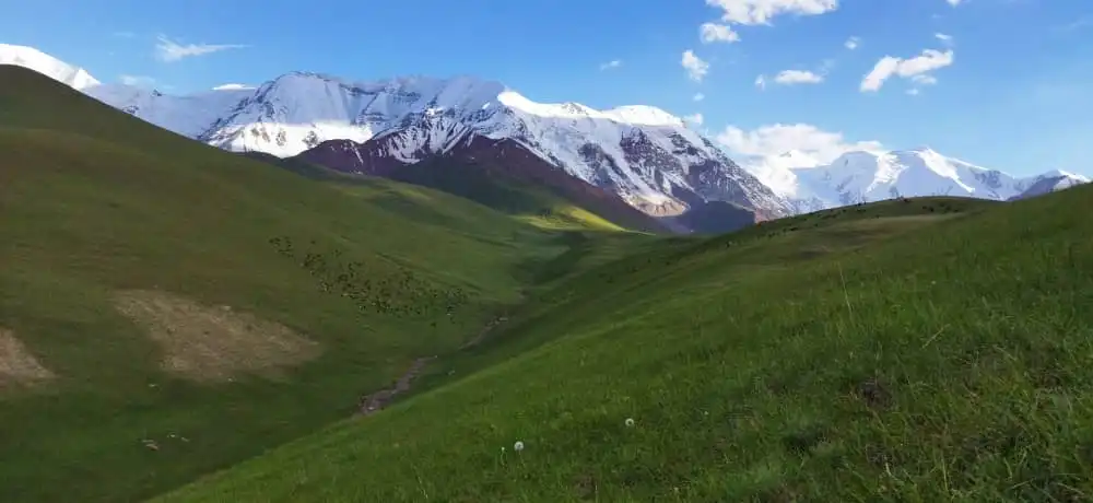 профессиональный водителя по кыргызстану