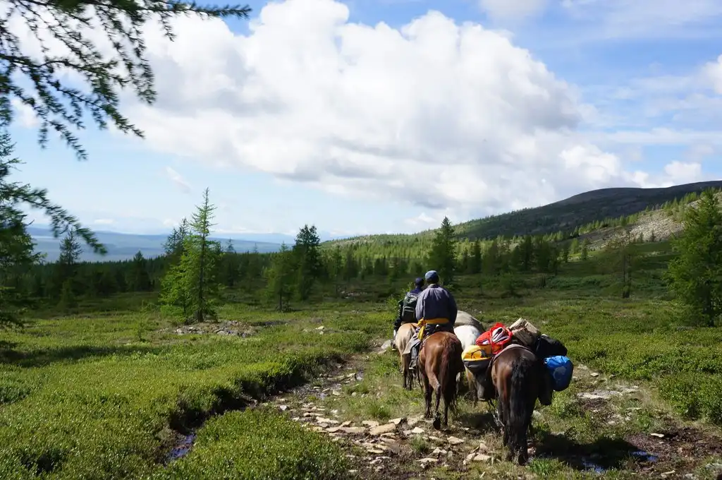 Horse Trek Through The Mystical Taiga To Reindeer Herders 10 Day Tour