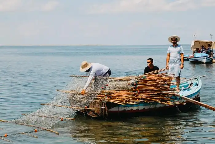Kerkennah From The Inside: A Private Day Of Sea, People & Island Life