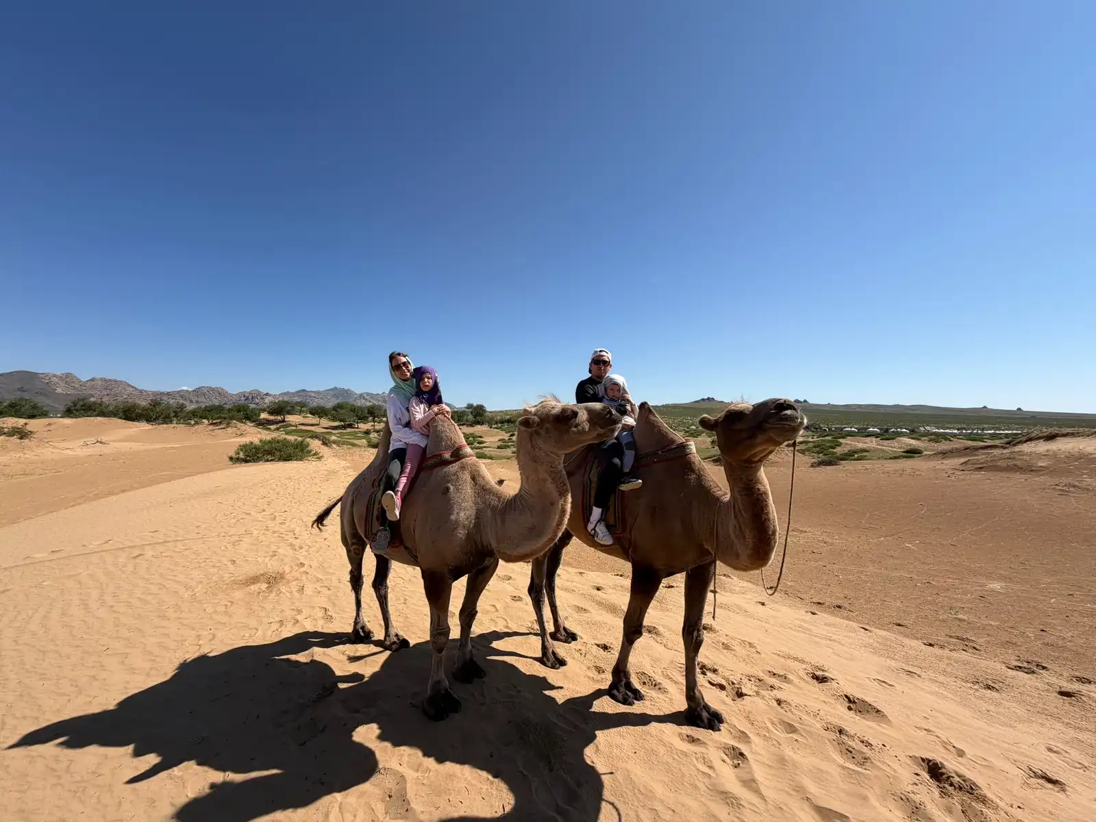 Camel Travel