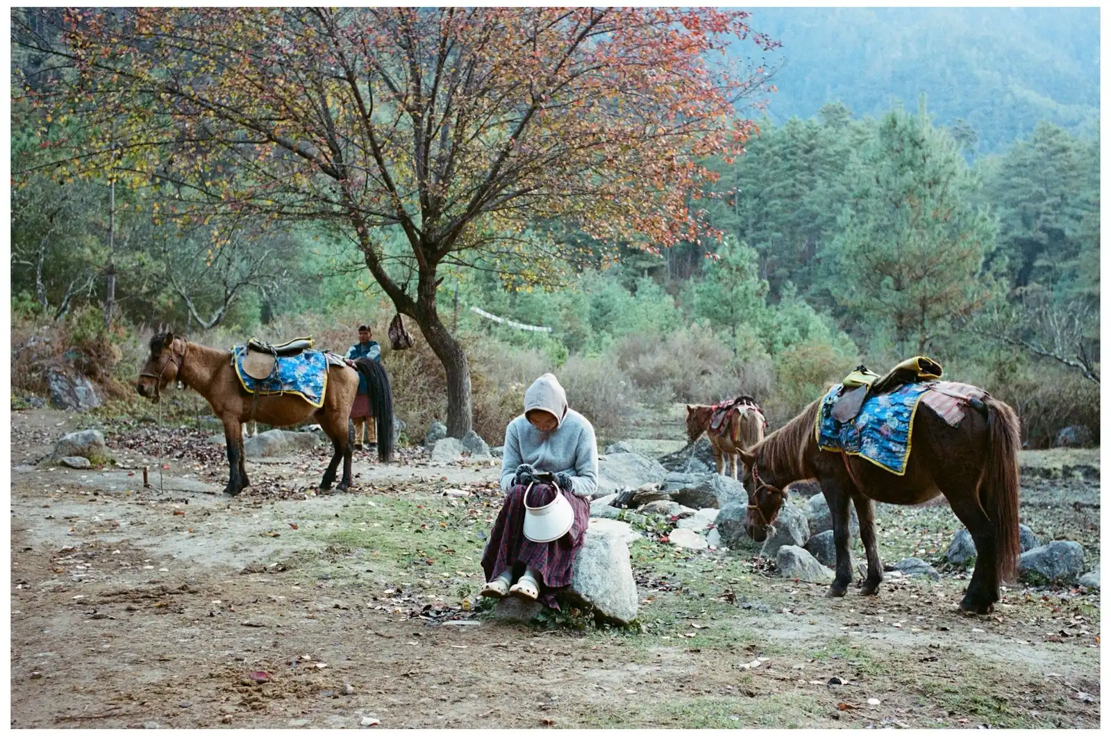 Bhutan Hiking Journey - Mountains, Villages & Monasteries