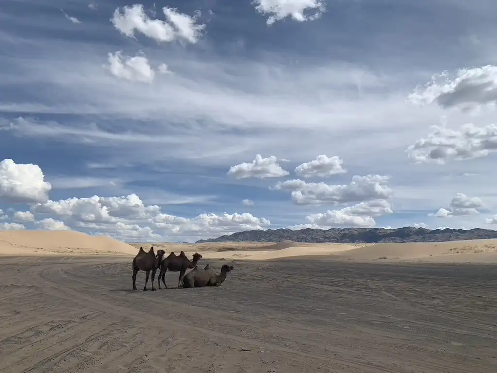 The Mongolian Gobi - Up Close