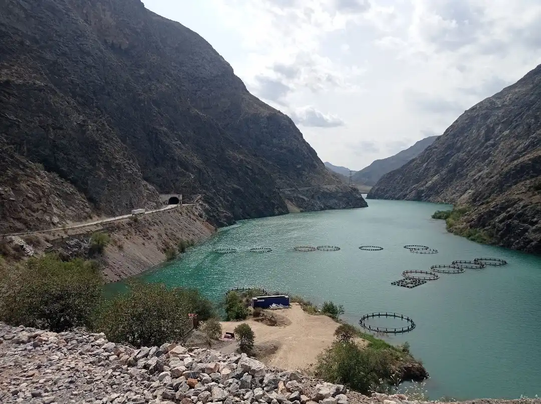 From Bishkek -->> To Osh
