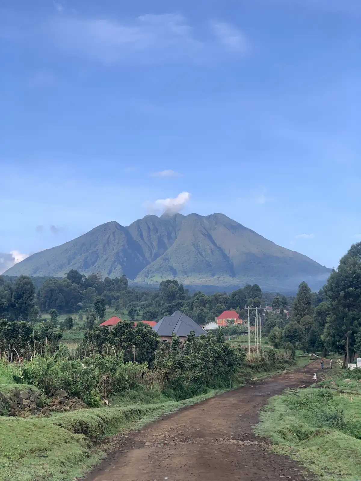 3-day Mgahinga Gorilla National Park & Batwa Trail