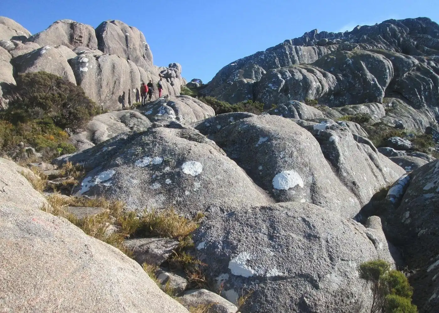 16-day Grand Adventure Wildlife And Mountain Trek