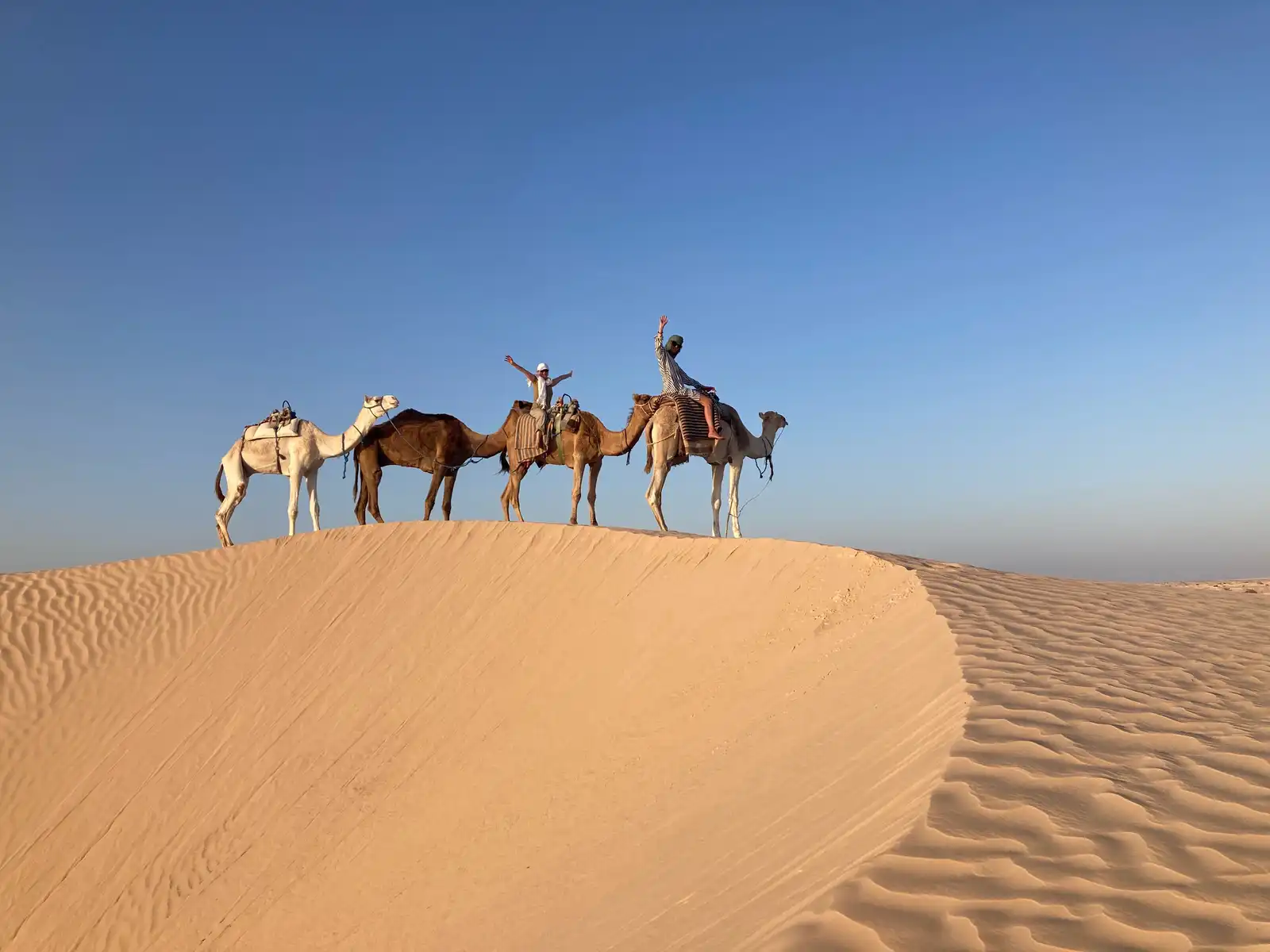 Sahara Trekking With Camels In Tunisia